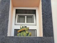 Wanderung von Marocos nach Machico-Froschaussichten