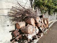 Wanderung von Marocos nach Machico