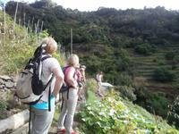 Wanderung von Marocos nach Machico