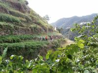 Wanderung von Marocos nach Machico