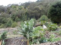 Wanderung von Marocos nach Machico