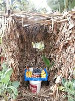 Obstverkauf unterwegs