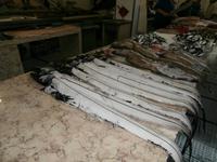 Markthalle Funchal-schwarzer Degenfisch