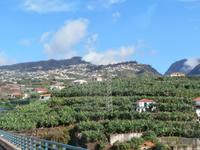 Fahrt nach Camara de Lobos