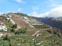 Fahrt nach Camara de Lobos