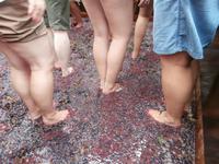 Weinfest in Estreito de Camara de Lobos