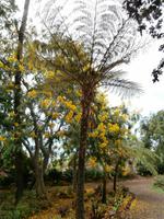 Botanischer Garten Funchal