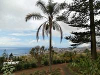 Botanischer Garten Funchal