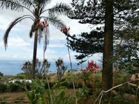 Botanischer Garten Funchal