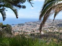 Blick auf Funchal