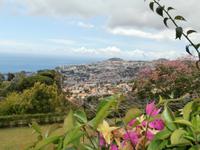 Blick auf Funchal