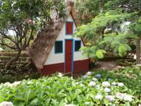 Botanischer Garten Funchal