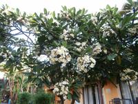 Hotel Quinta Splendida