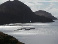 Wanderung zum Ostkap von Madeira nach Ponta Sao Lourenco