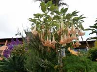 Hotel Quinta Splendida