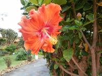 Hotel Quinta Splendida