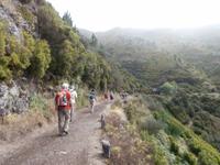 Wanderung zu den 25 Quellen im Tal von Rabacal