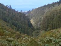 Wanderung zu den 25 Quellen im Tal von Rabacal