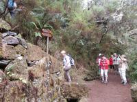 Wanderung zu den 25 Quellen im Tal von Rabacal