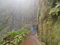Wanderung zu den 25 Quellen im Tal von Rabacal