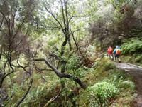 Wanderung zu den 25 Quellen im Tal von Rabacal