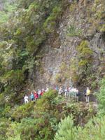 Wanderung zu den 25 Quellen im Tal von Rabacal