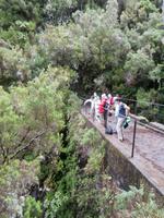 Wanderung zu den 25 Quellen im Tal von Rabacal