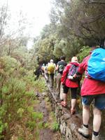Wanderung zu den 25 Quellen im Tal von Rabacal