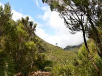 Wanderung zu den 25 Quellen im Tal von Rabacal