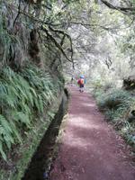 Wanderung zu den 25 Quellen im Tal von Rabacal