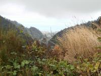 Wanderung zu den 25 Quellen im Tal von Rabacal