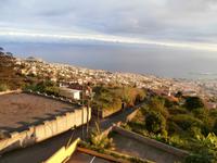 Blick auf Funchal
