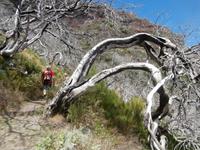 Wanderung vom Pico Arieiro zum Pico Ruivo