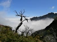 Wanderung vom Pico Arieiro zum Pico Ruivo