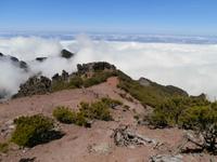 auf dem Pico Ruivo-über den Wolken