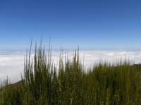 vom Pico Ruivo-höchste Berg Madeira-zum Achada do Teixeira