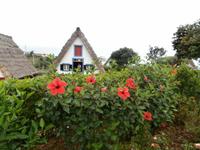 Santana-typisches Haus auf Madeira