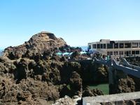 Porto Moniz Madeira-Lavabecken im Vulkangestein