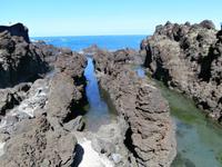 Porto Moniz Madeira-Lavabecken im Vulkangestein