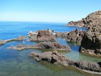 Porto Moniz Madeira-Lavabecken im Vulkangestein