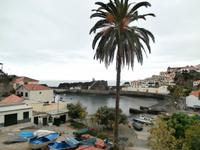 Camara de Lobos Madeira