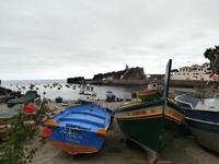 Camara de Lobos Madeira