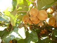 Tag 6_Ausflug zum Mateus Palast (4)