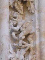 Tag 7_Ausflug nach Salamanca (24)