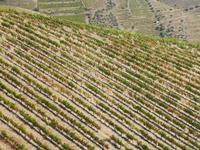 Tag 8_Ausflug entlang der Weinroute (4)