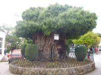 Tag 9_Ausflug nach Lamego (1)