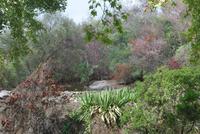 038. Landschaft in Caldas de Monchique