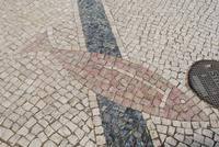 075. Bodenmosaik in der Altstadt von Faro