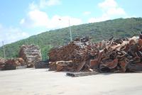 081. Korkfabrik in Sombrage