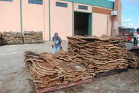 083. Korkfabrik bei Sombrage